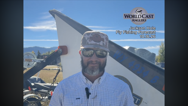 Jackson Hole Fly Fishing Forecast 10.16.26
