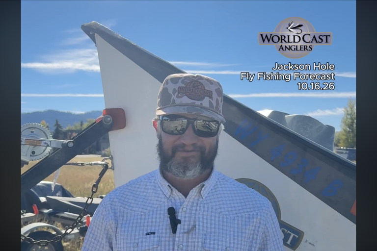 Jackson Hole Fly Fishing Forecast 10.16.26