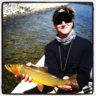 Skwala consuming Snake River Cutty